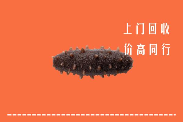 高价求购：赤峰巴林左旗回收海参