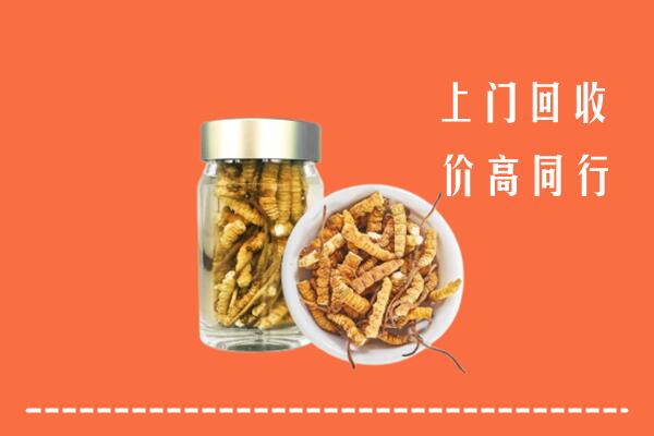 赤峰巴林左旗回收冬虫夏草